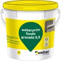 Weber Italia