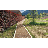 Pista_cicl_fotoluminescente1 Pista_cicl_fotoluminescente1
