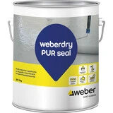 Weber Italia