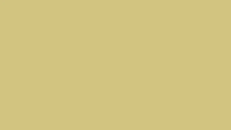 Y005