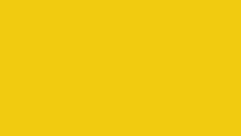 Y016